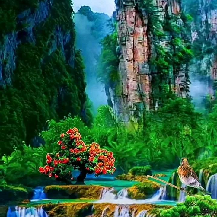 李淑娟
