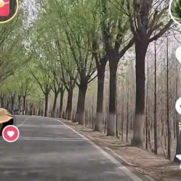 爱生活爱自己