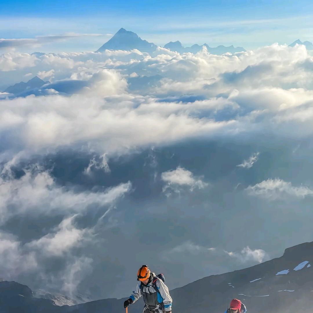 杨训彬茶叶烟酒商行