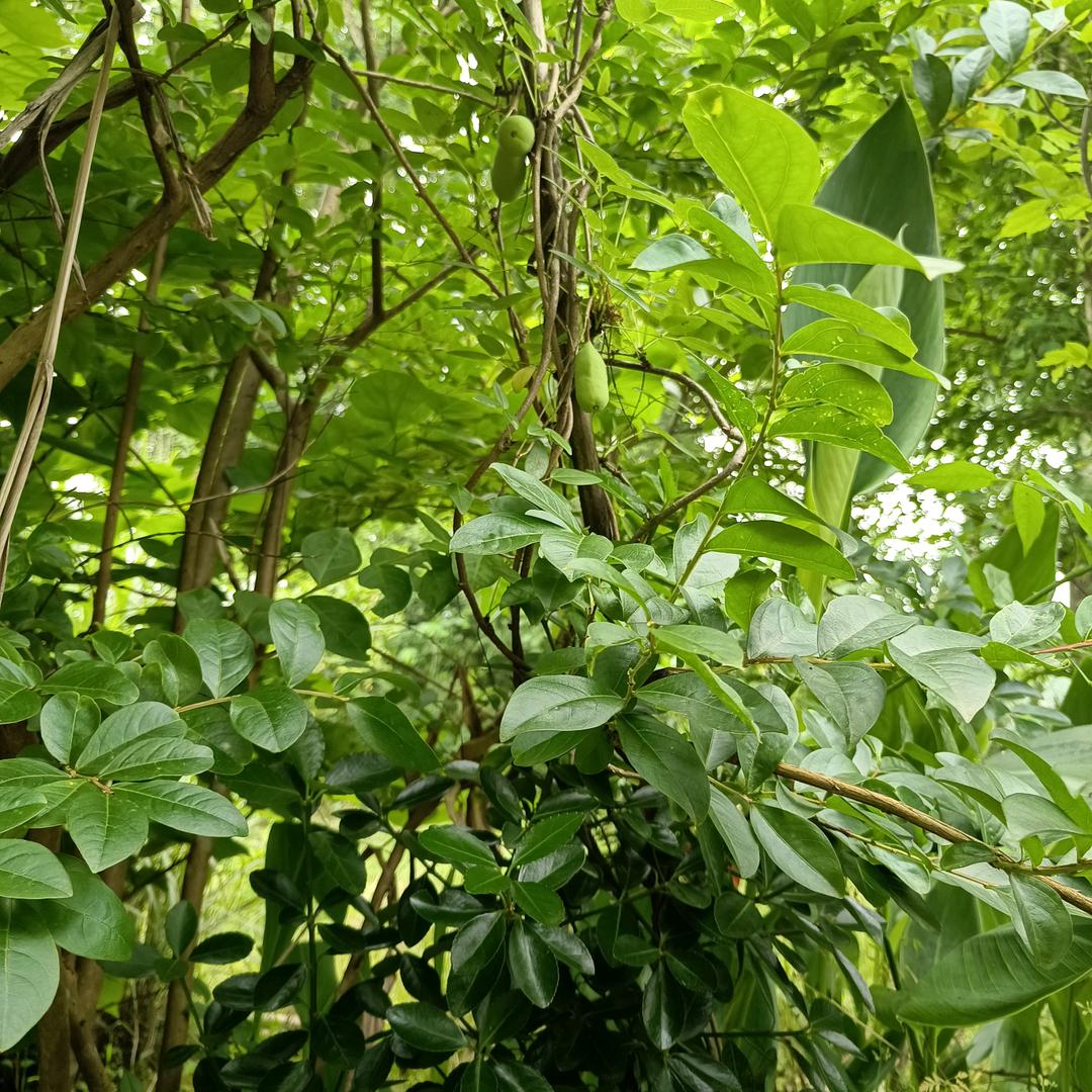 斗音玩得开心