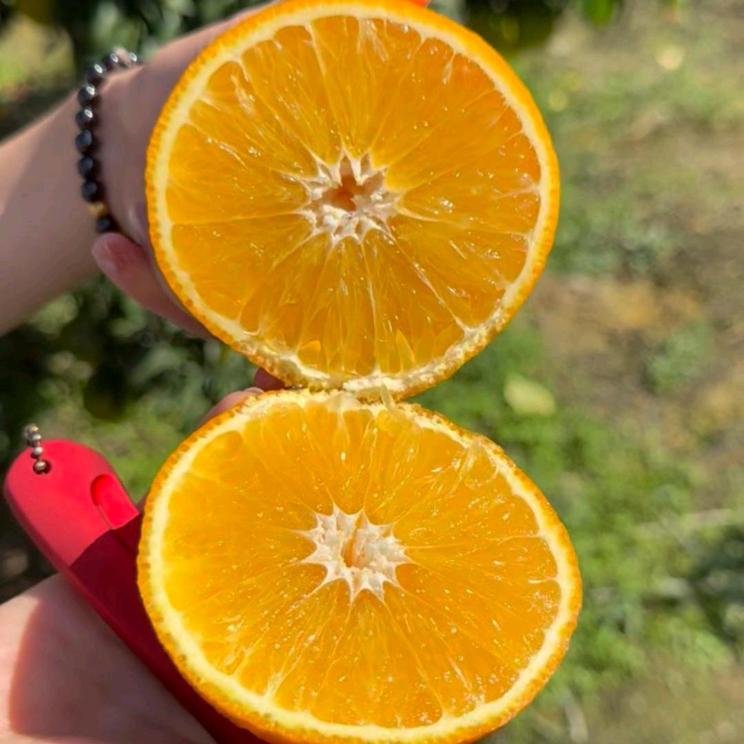 滋哆蜜蜀味悠长水果专卖店