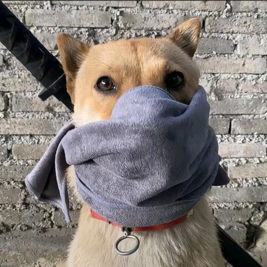 遥远的救世主 ￴ ￴￴￴ ￴￴