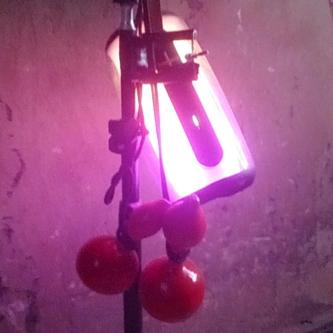 浪行天下王老四