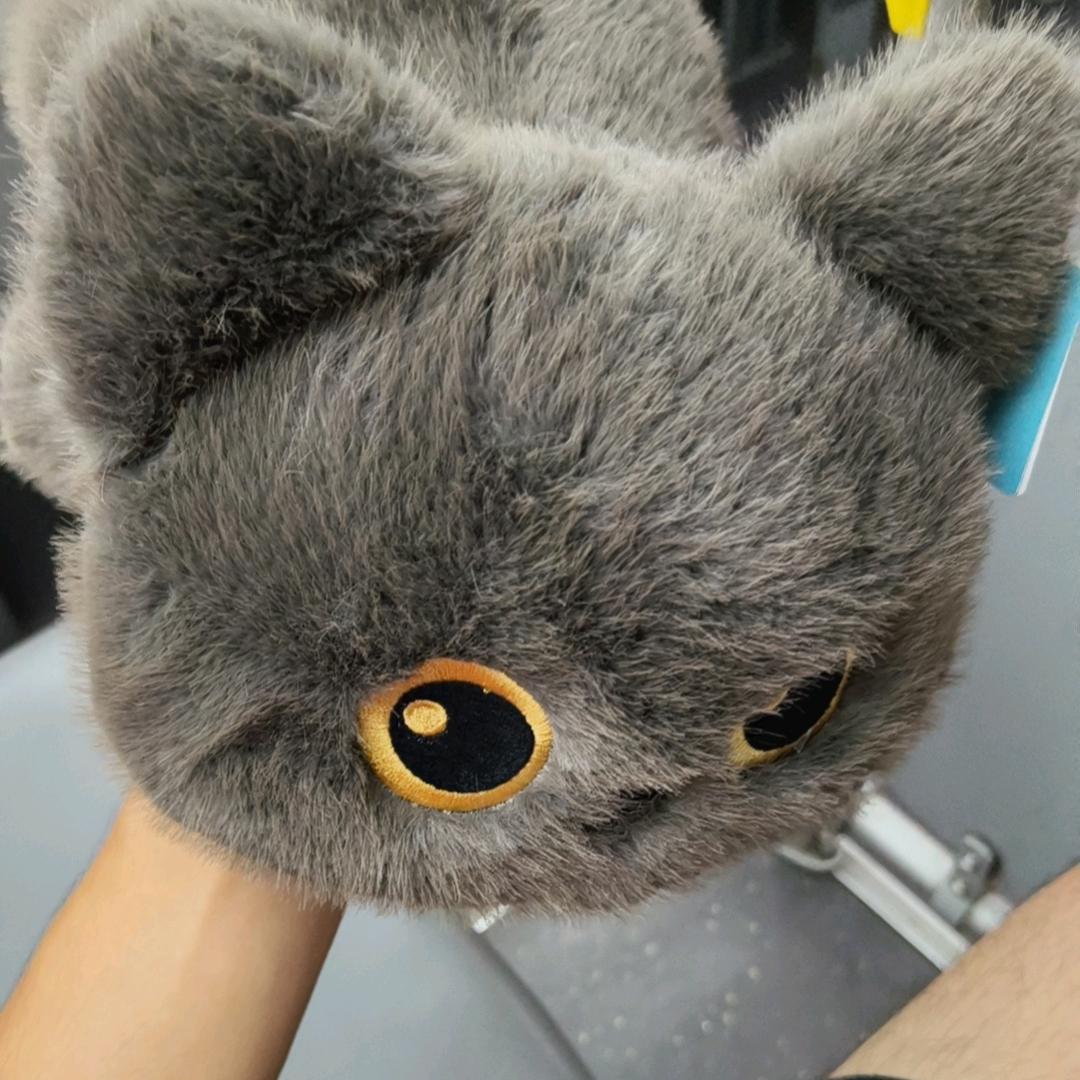 我爱谁觉