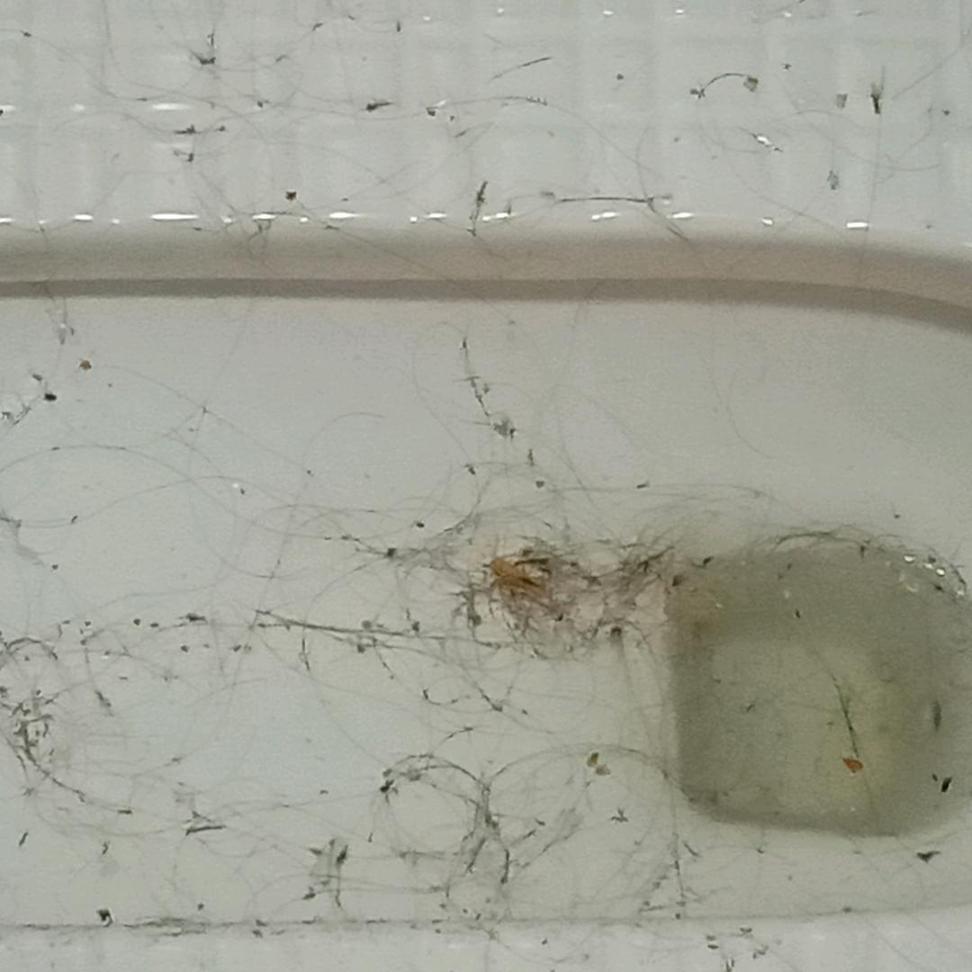 胖嘟嘟