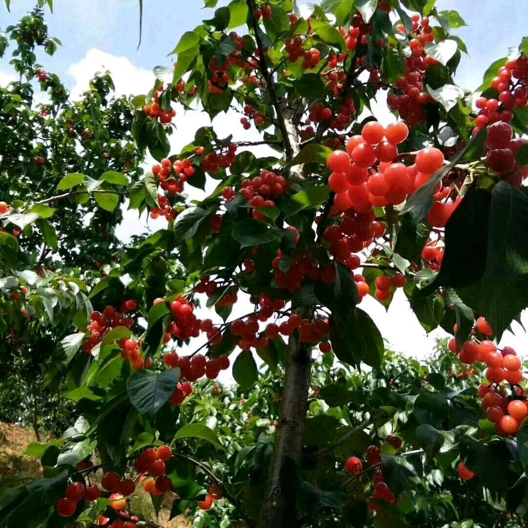 等风等雨不如等你
