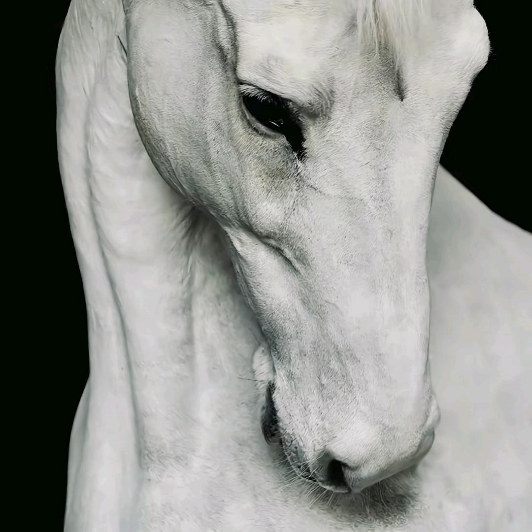 恋人