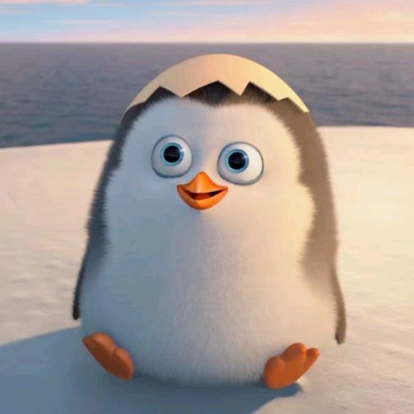 没人比我更懂睡觉