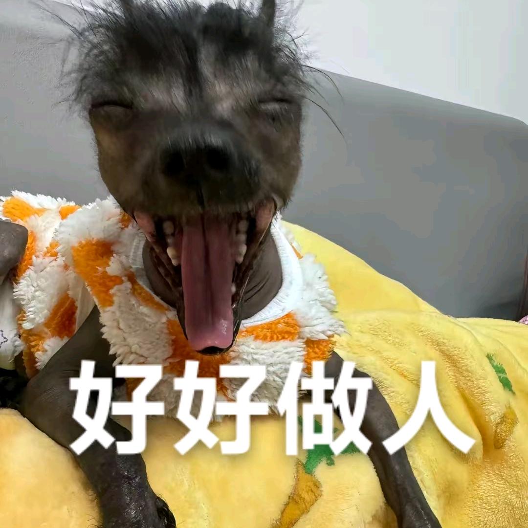 淡墨👑