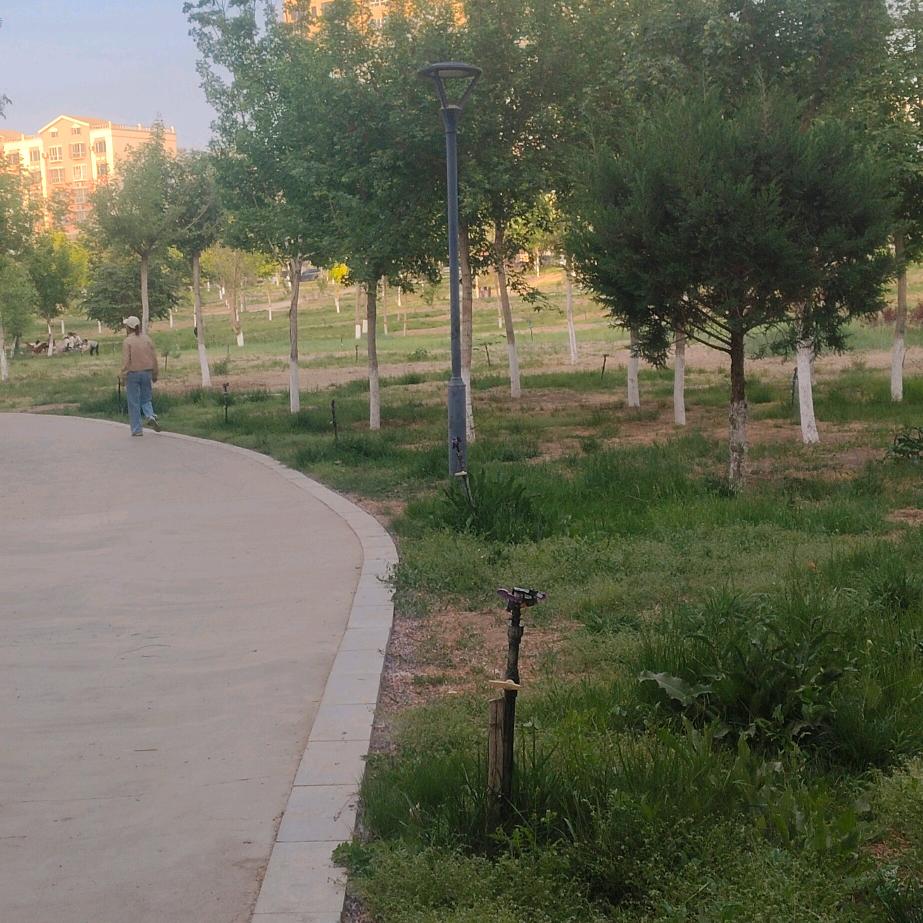 我的未来你不需要管