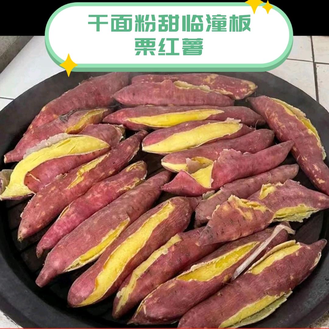 陕西临潼板栗红薯产地直发