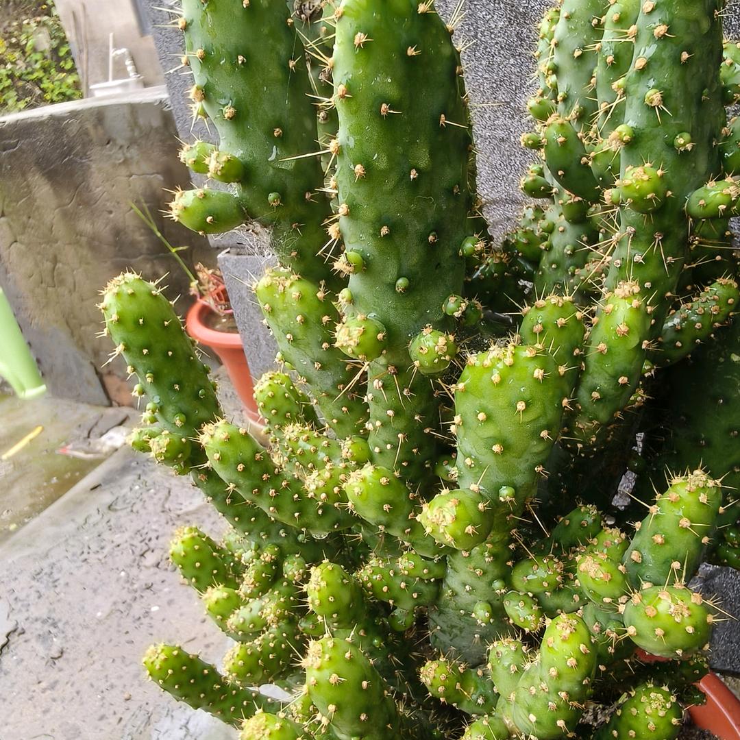 乡遇