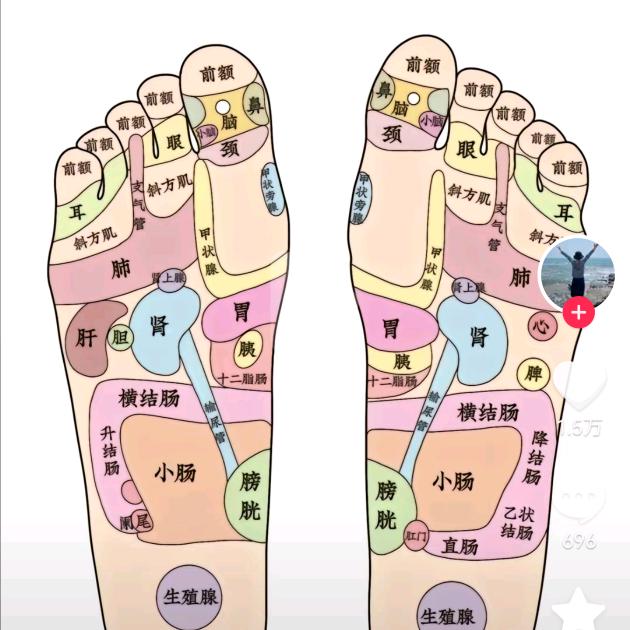 任氏保健速归