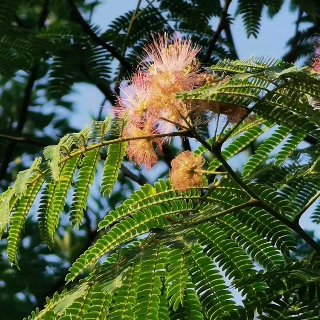 你的眼角流着我的泪