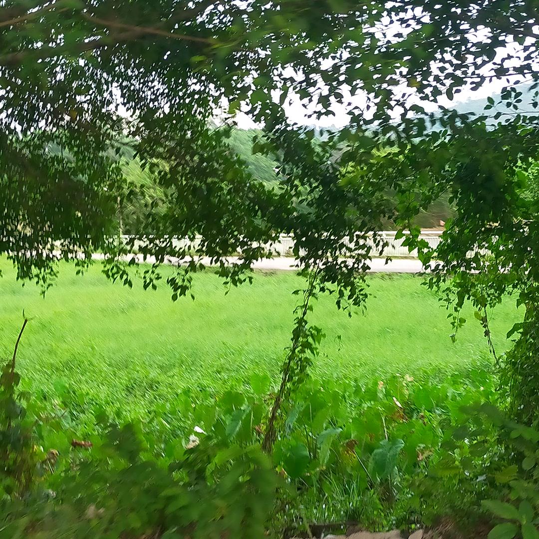 十年何东丶十年何西