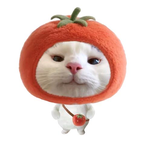 钱辈.