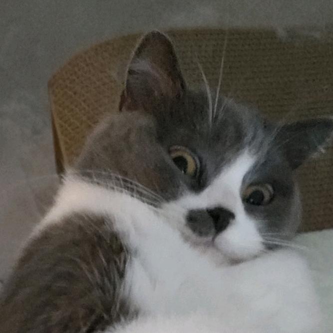 涂涂.