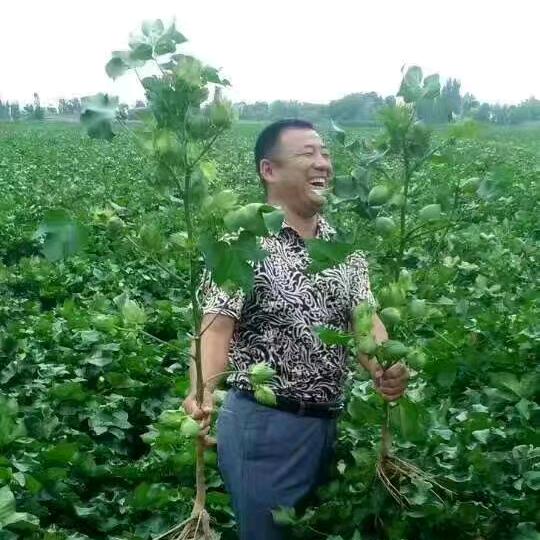 农业有缘人