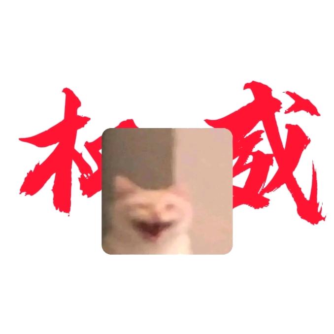 极恶小坏猫