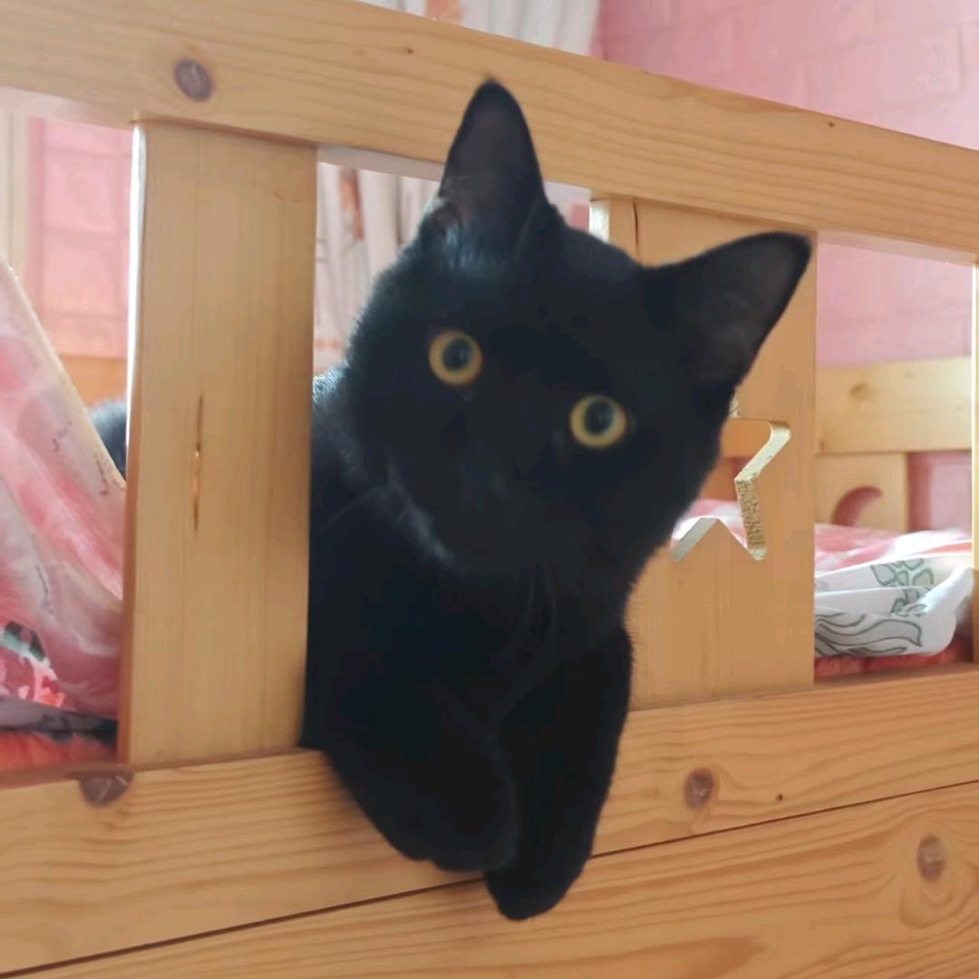 🌈🌈灵曦小越