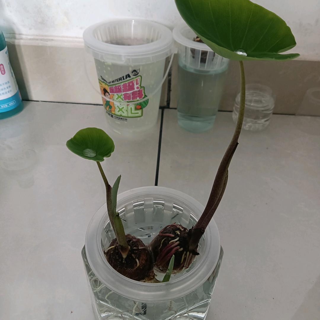 生存特训