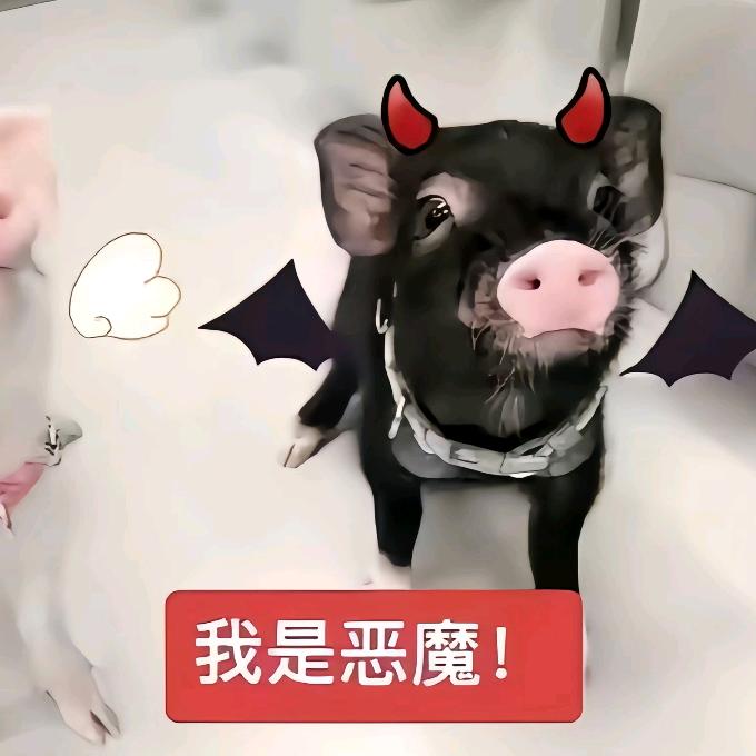 此恨绵绵无绝期