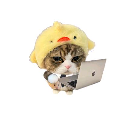 蠢蠢又不见了