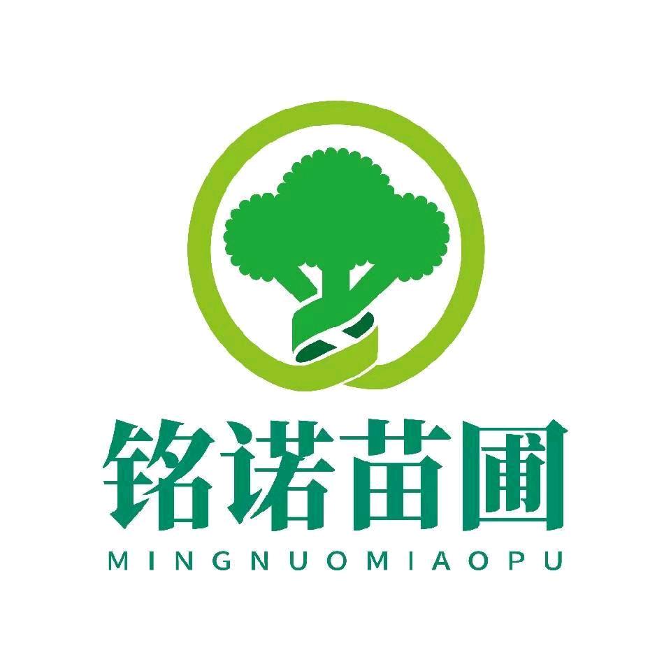 铭诺苗木