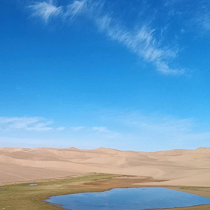 放手一搏物臻选阁