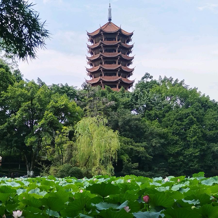 @高波