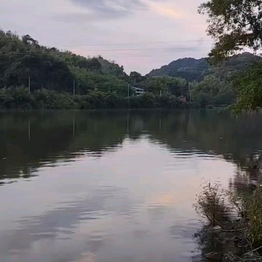 为你而行