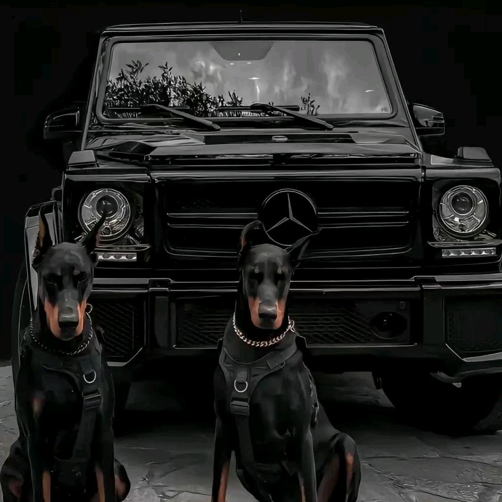 无名先生的世界。