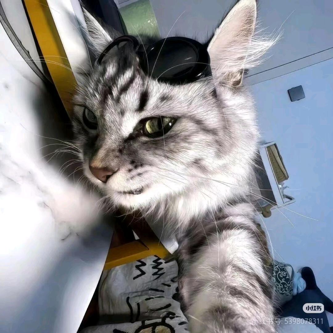 明明明月是前身