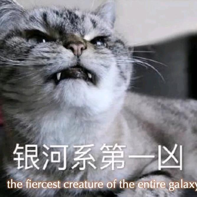 .晓晔.