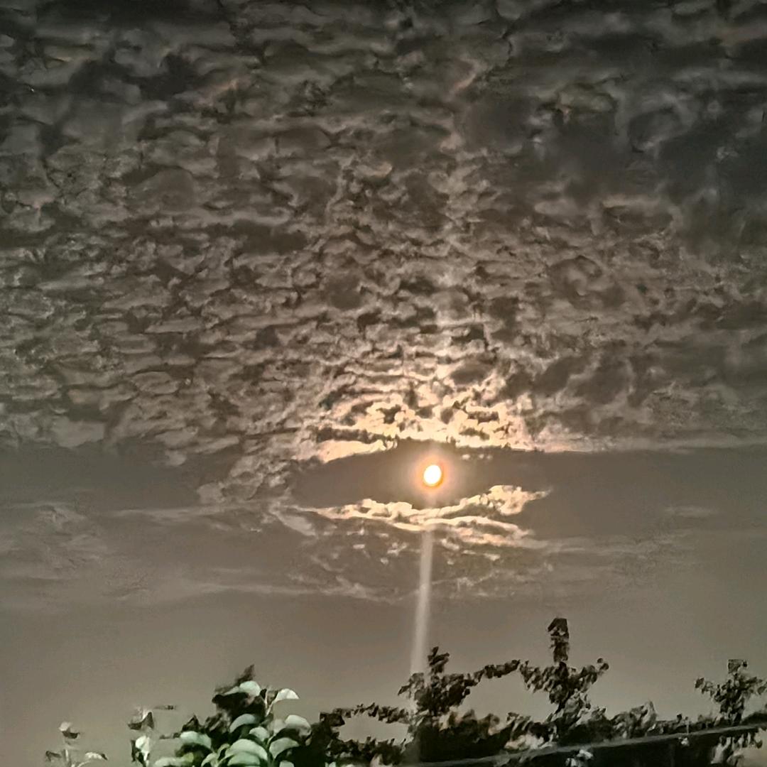 小文哥✔