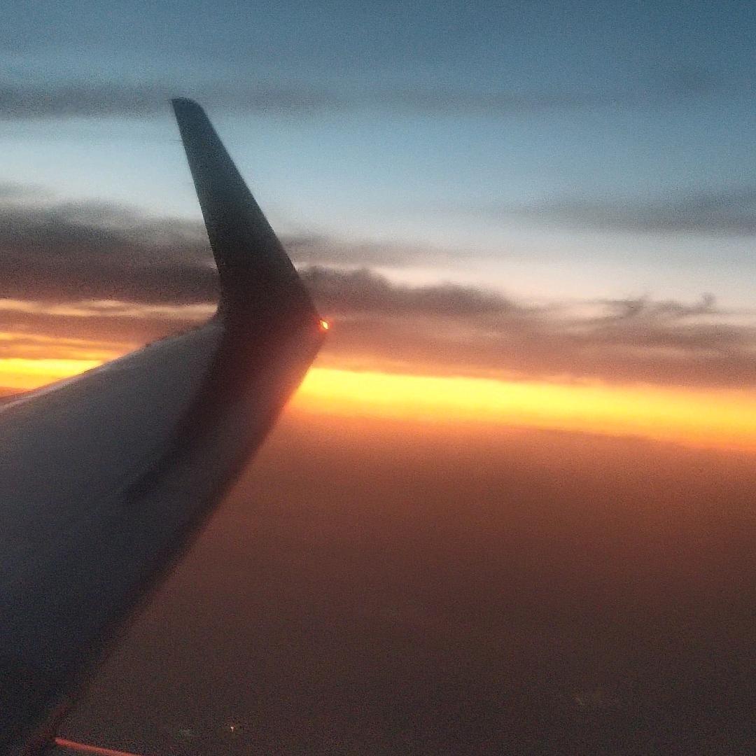 强哥是单身仔仔