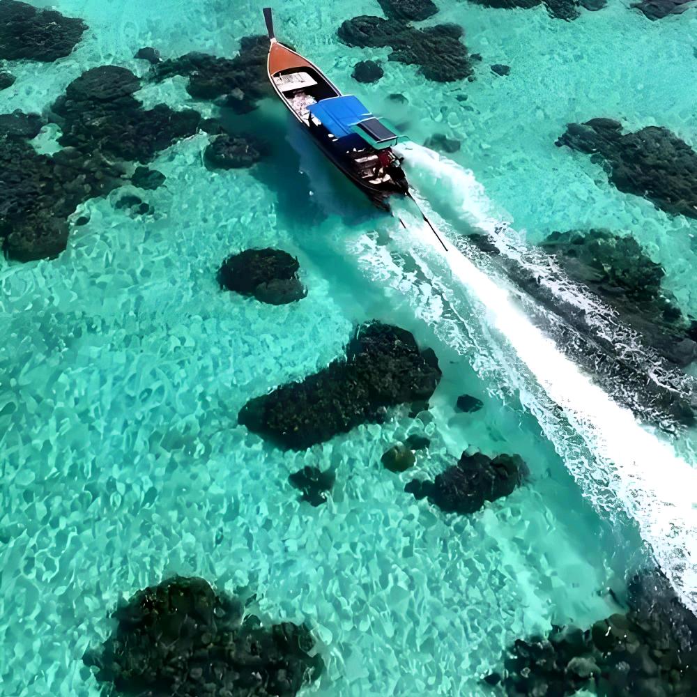 太和小爱