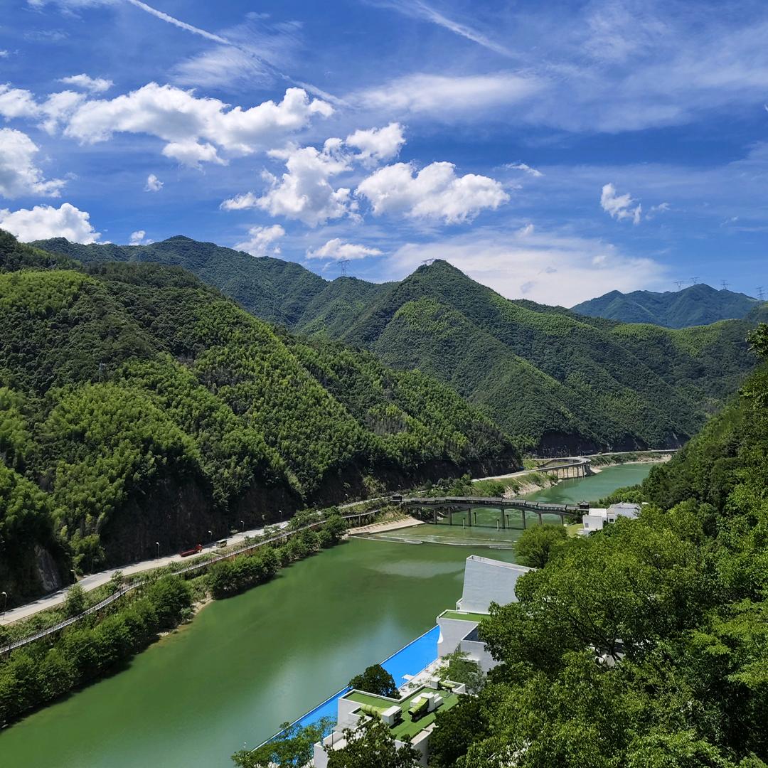 缘不知所起一往情深