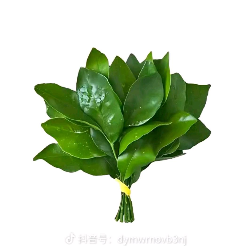 🦊跃贴身侍卫🐿️头像