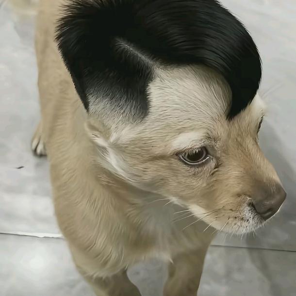 小哥爱做菜