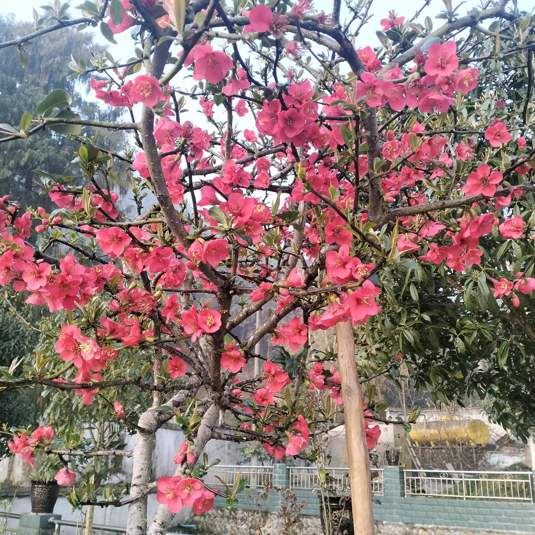 虞山之美。。、淌湖