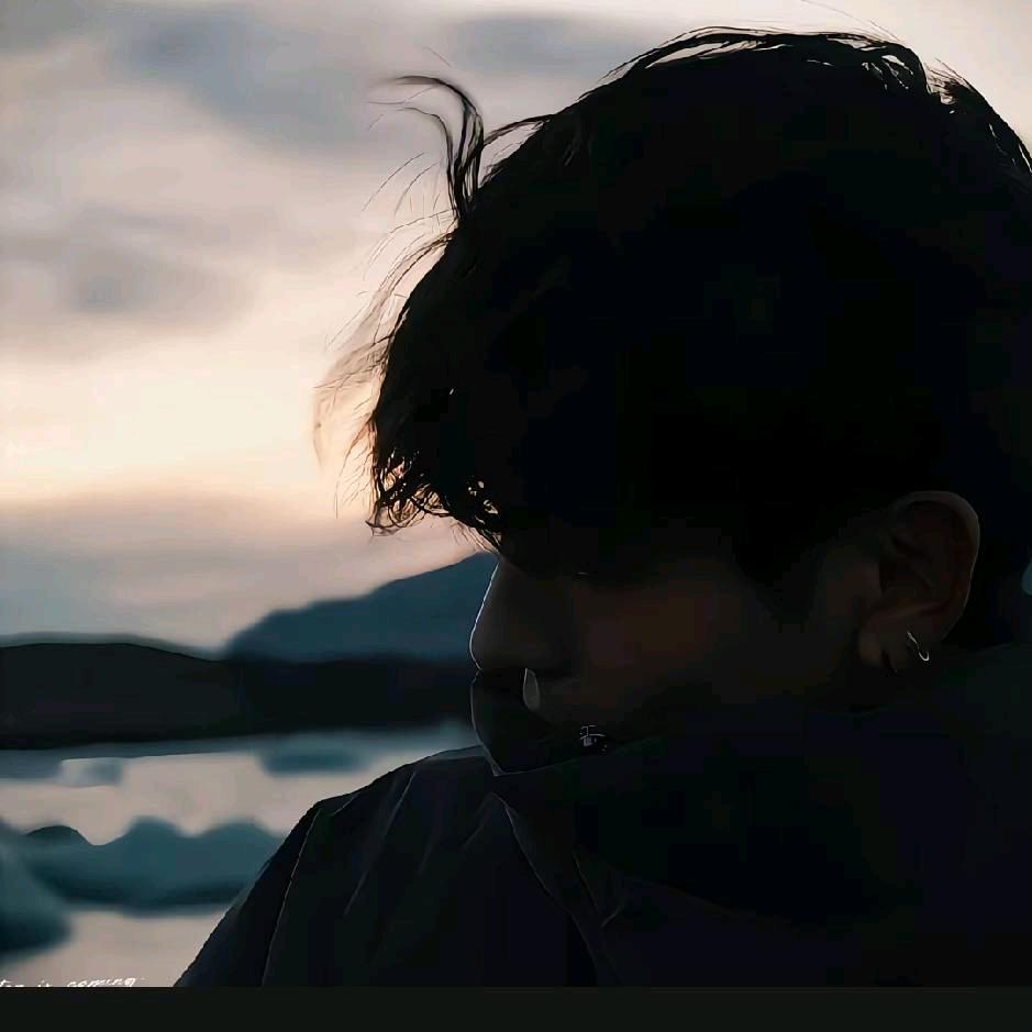 不会浪漫