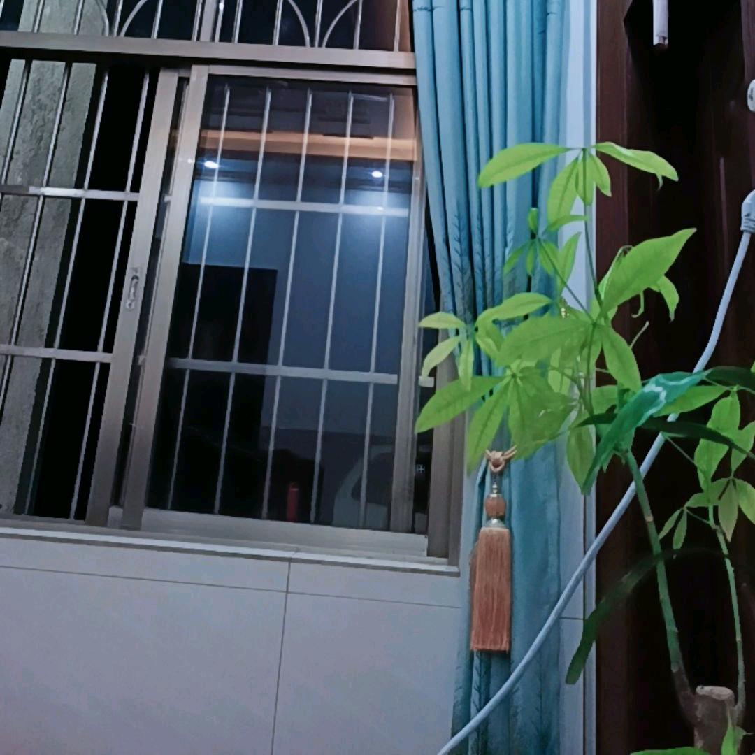 心想事“陈"
