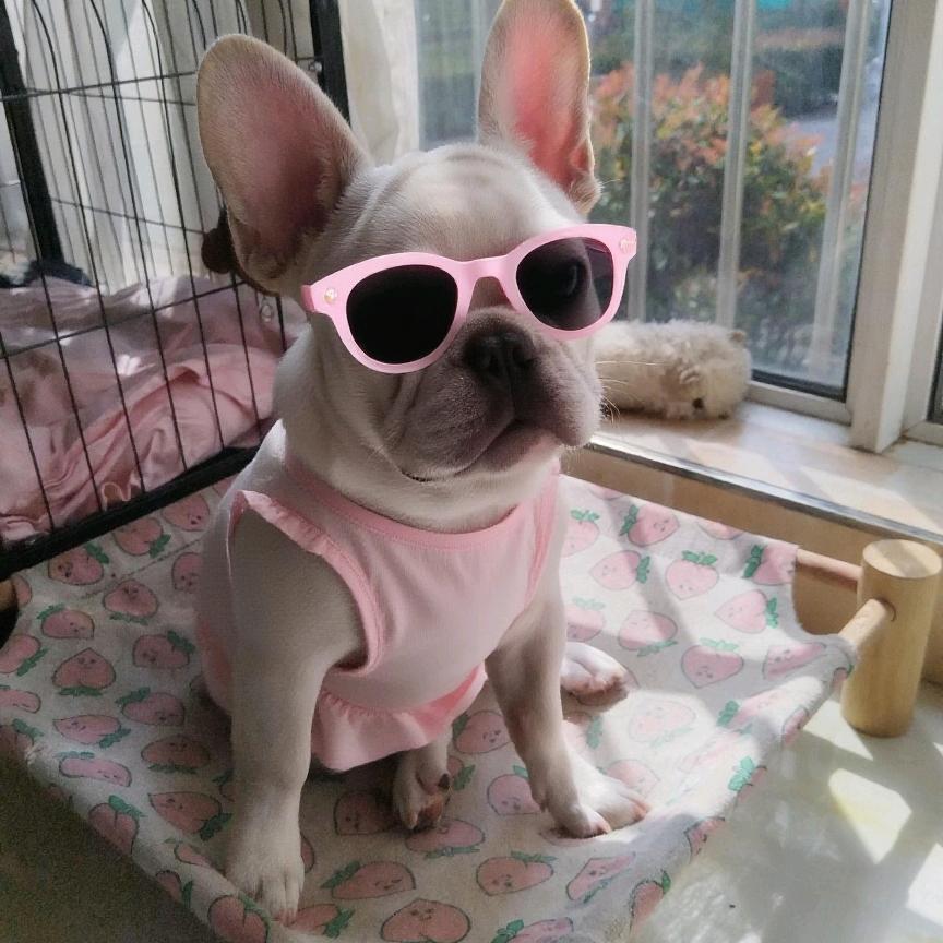 广东靓女在陕西生活