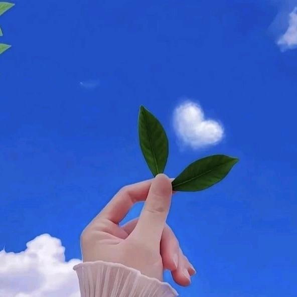 憨憨