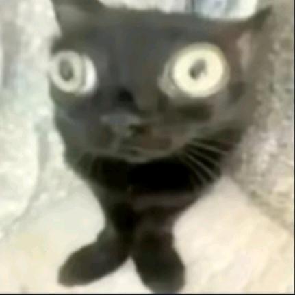 H.T