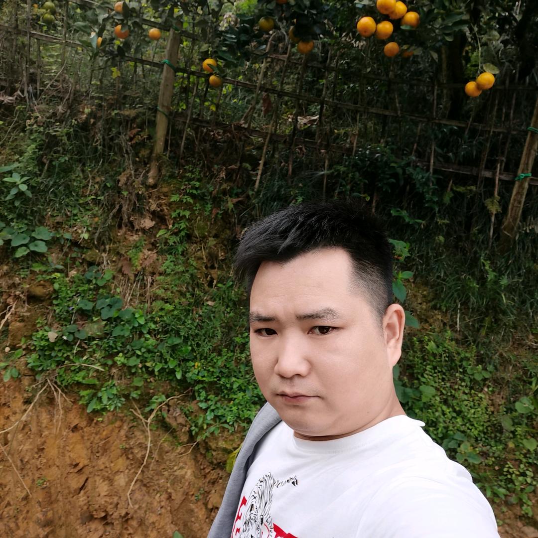 @洒洒水啦