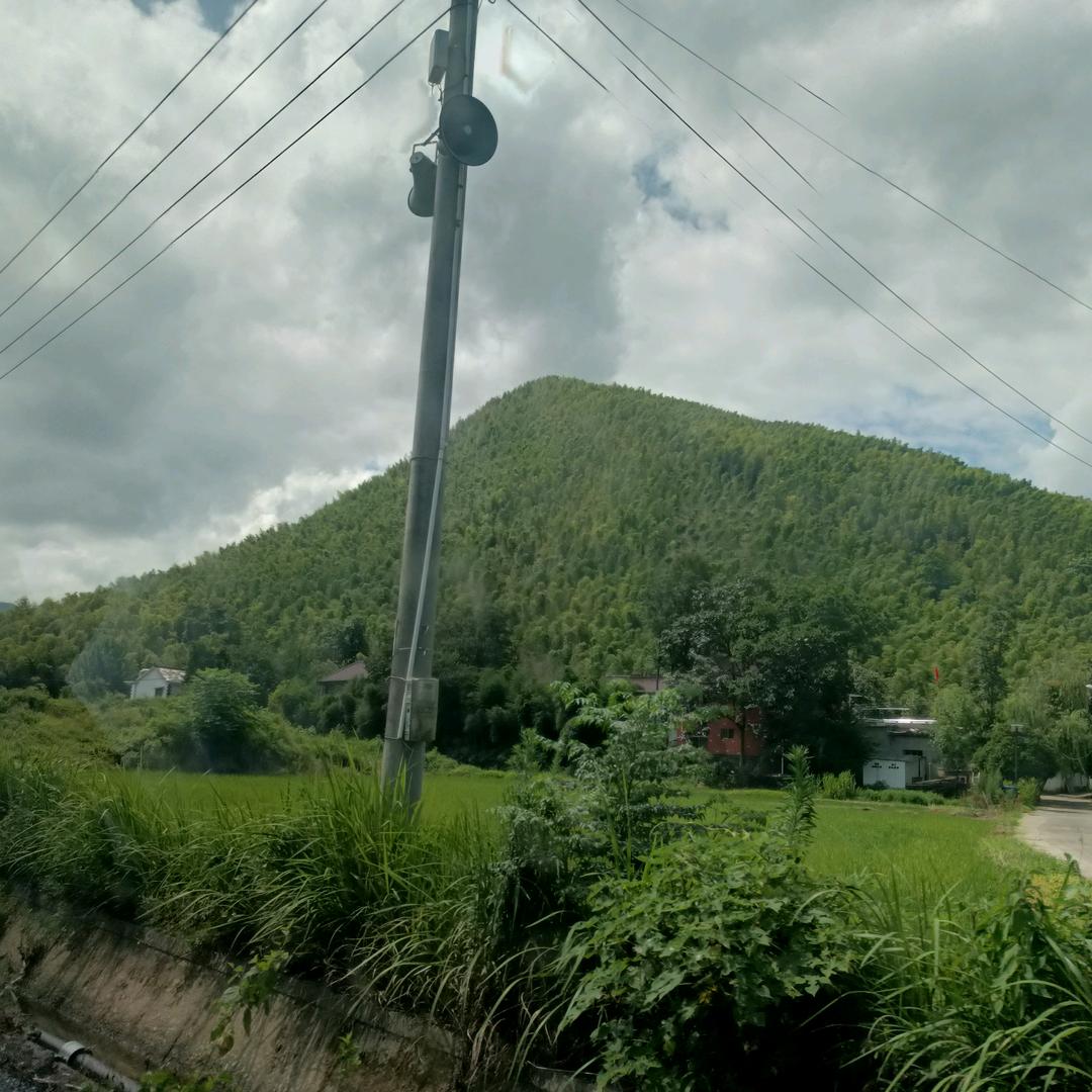平平淡淡