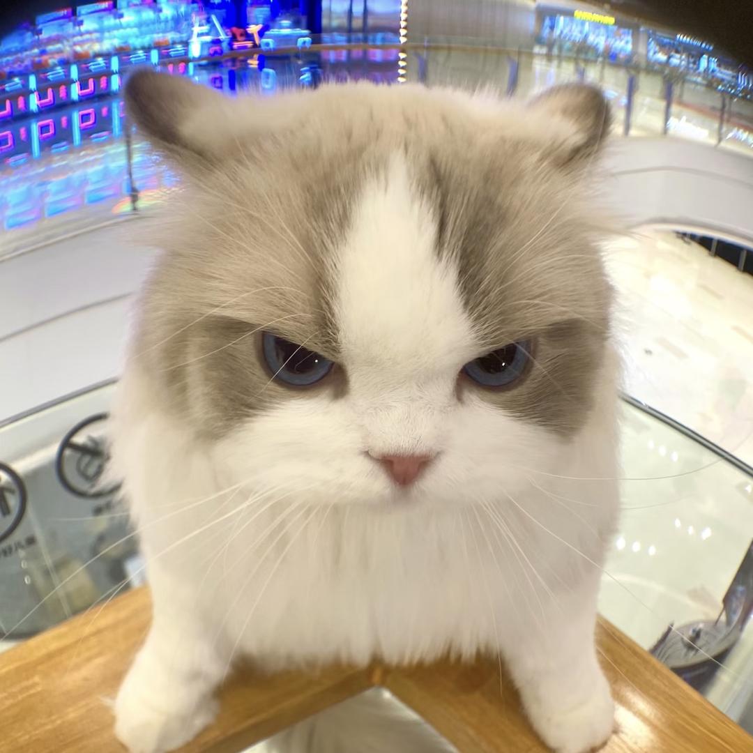 - ̗̀𝙤𝙥𝙚𝙣 ̖́炸毛可乐