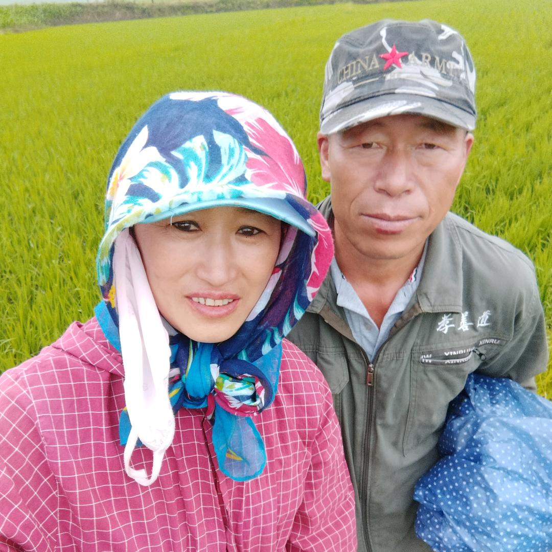 马香五常大米，